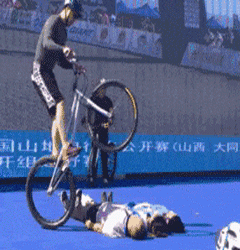 t017dd88b8671ce7cfe.gif